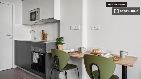 Whole studio in Madrid