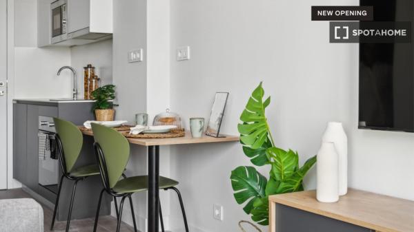 Whole studio in Madrid