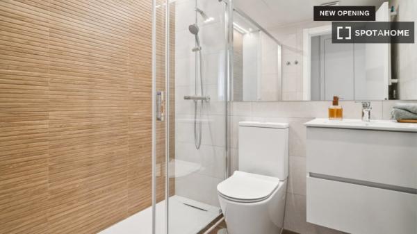 Whole studio in Madrid