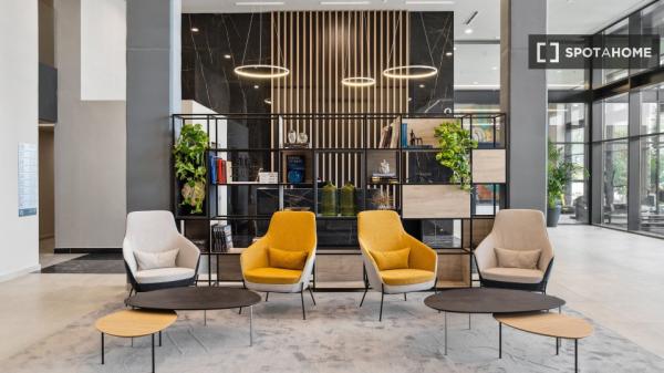 Whole studio in Madrid