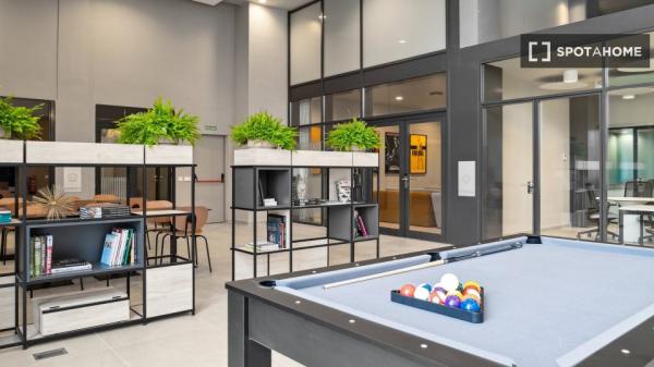 Whole studio in Madrid