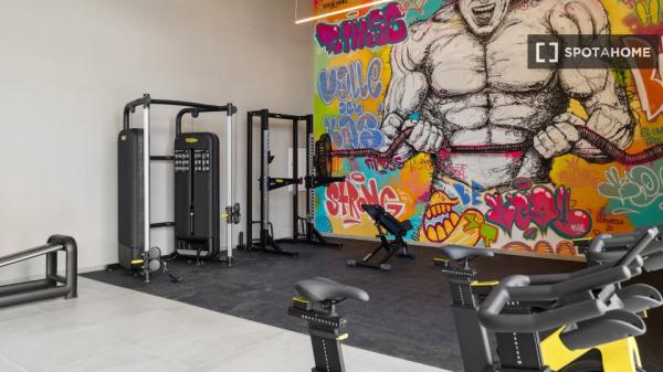 Whole studio in Madrid