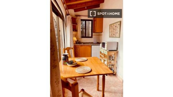 Estudio en alquiler en Alicante