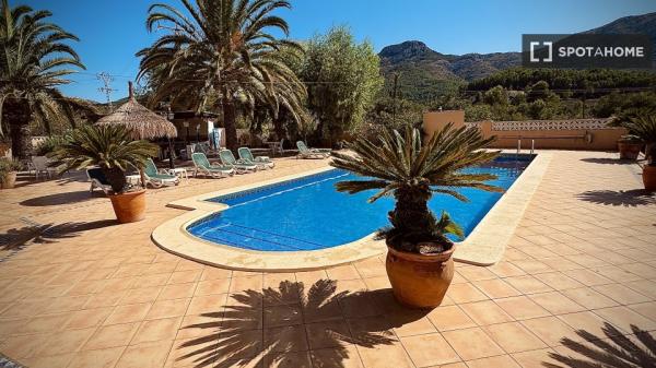 Estudio en alquiler en Alicante