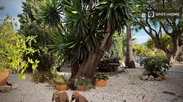 Estudio en alquiler en Alicante