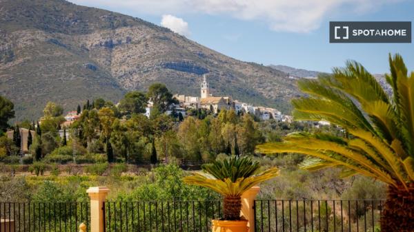 Estudio en alquiler en Alicante