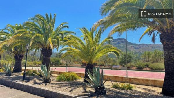 Estudio en alquiler en Alicante