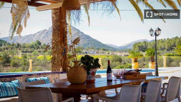 Estudio en alquiler en Alicante