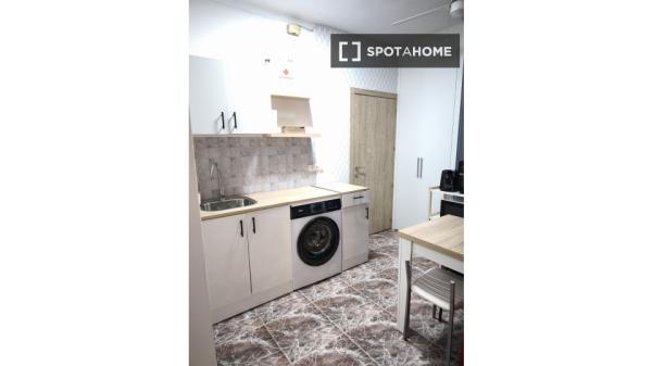 1-Zimmer-Wohnung zur Miete in Castillejos, Madrid