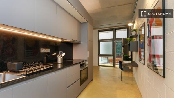 Studio à louer à El Raval, Barcelone