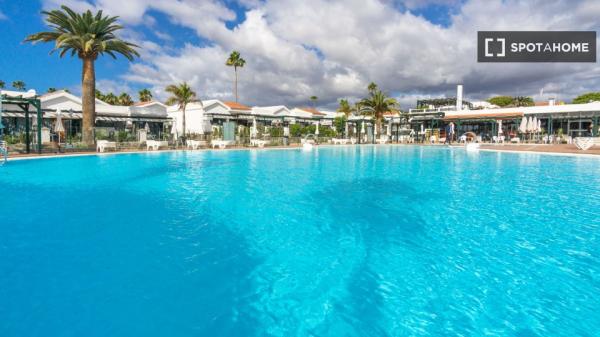 Estudio en alquiler en San Bartolomé de Tirajana