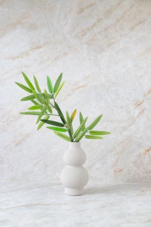 Casa independiente en calle Urano y Calle Osiris s/n