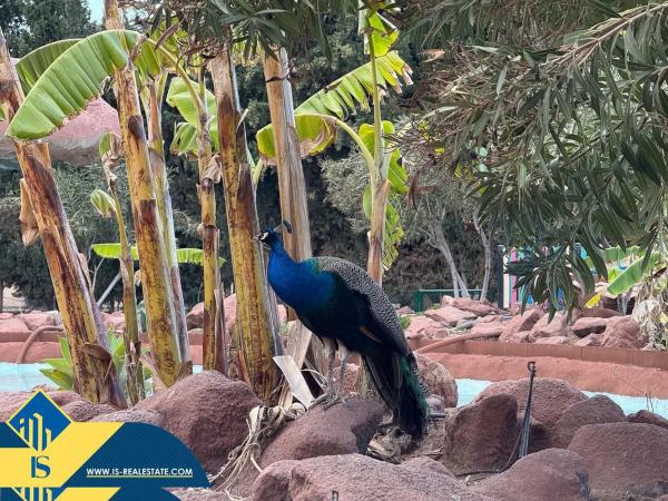 Piso en Barrio Parque de las Naciones