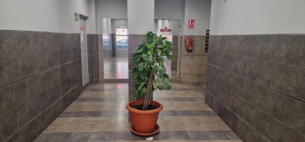 Piso en calle Joaquín Chapaprieta, 138