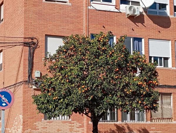 Piso en calle Rafal, 4