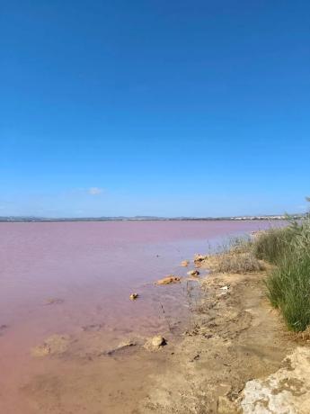 Piso en calle Rafal, 4