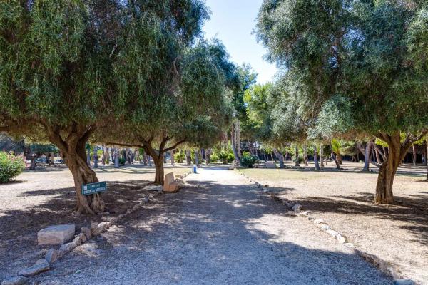 Estudio en calle Rafal