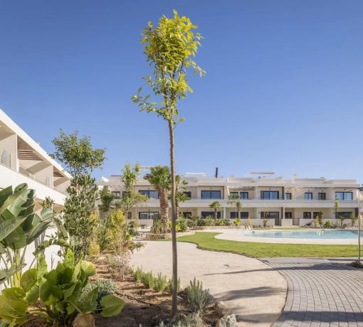 Ático en Ramon Rubial, 3