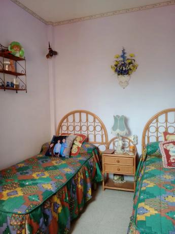 Chalet pareado en calle Abedul