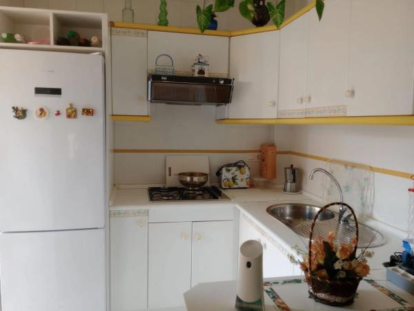 Chalet pareado en calle Abedul