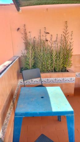 Dúplex en calle Emperadores, 19