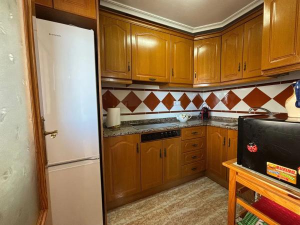 Piso en avenida Virgen del Carmen