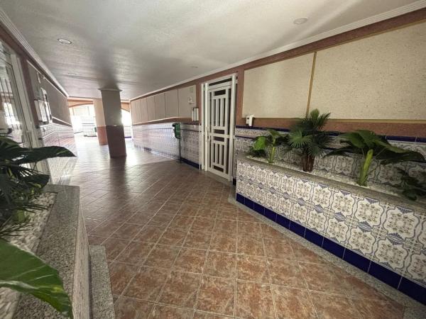 Piso en avenida Virgen del Carmen