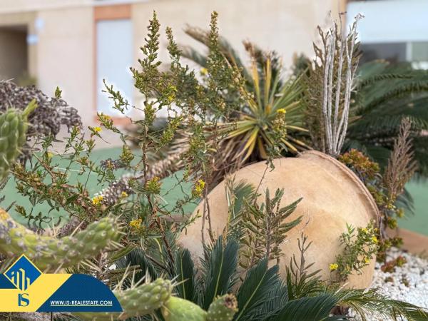 Piso en Barrio Cabo Cervera