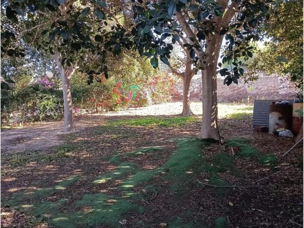 Casa independiente en calle Ucrania, 1