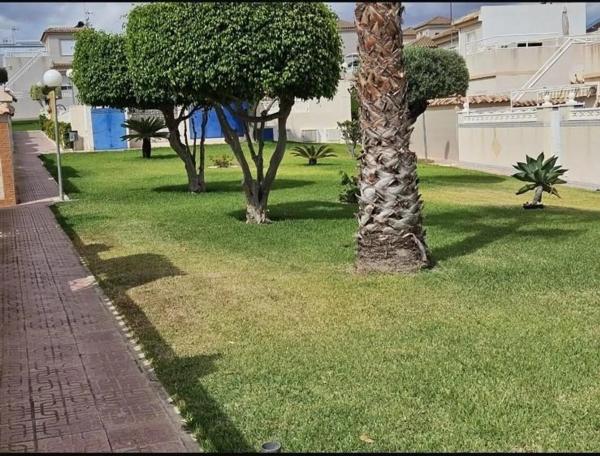 Chalet pareado en avenida Tomas Boj Andreu