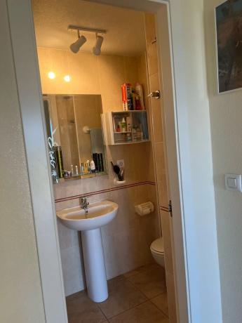 Chalet pareado en avenida Jose Zorrilla, 9