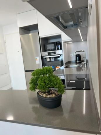 Piso en calle Diana, 4