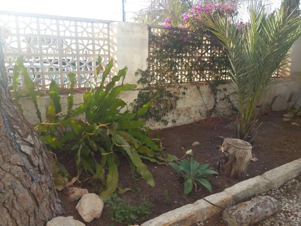 Casa independiente en avenida Doctor Angel Garcia Rogel, 86