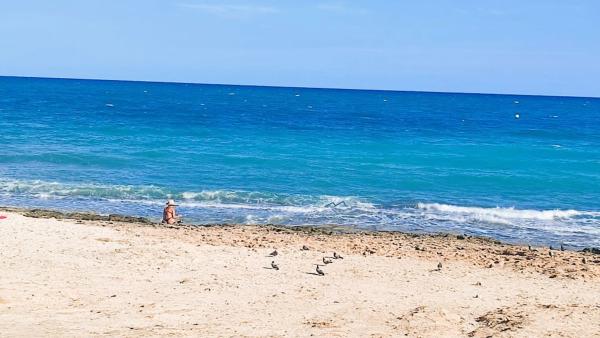 Piso en calle Mar Baltico, 5