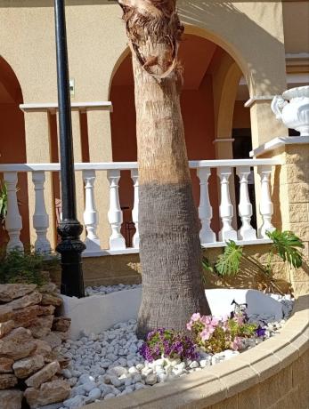 Piso en avenida Roentgen, 7