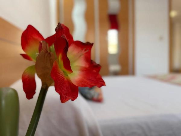 Piso en calle Apolo, 50