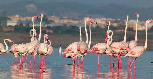 Piso en calle Fragata, 37