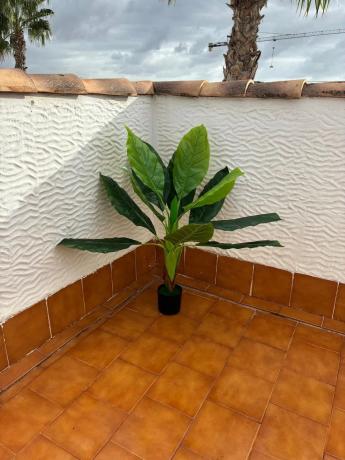 Ático en calle Albaricoquero, 198