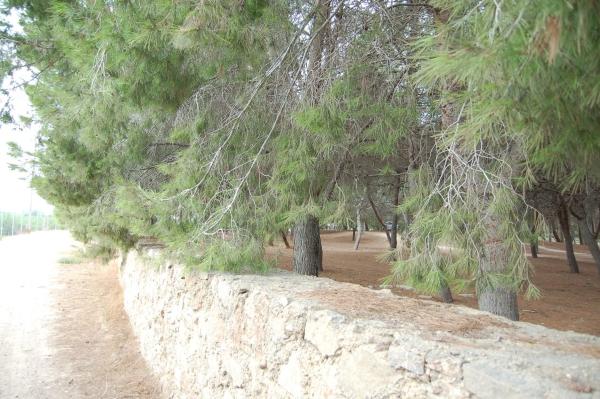 Casa rural en vereda del Cementerio, 264