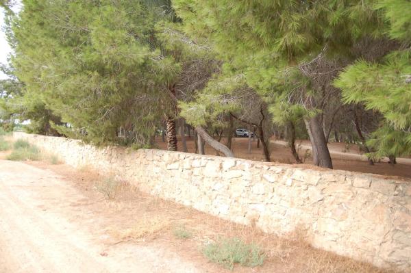 Casa rural en vereda del Cementerio, 264