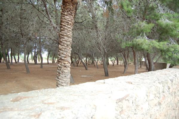 Casa rural en vereda del Cementerio, 264