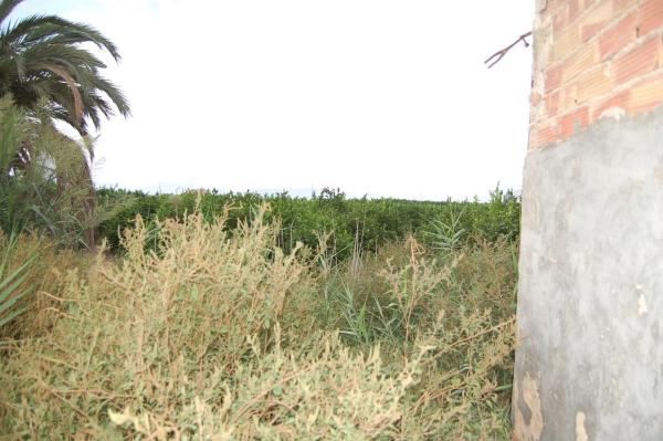 Casa rural en vereda del Cementerio, 264