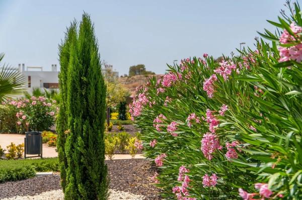 Piso en plaza H-2 Azahar-1