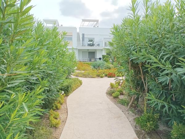 Ático en Desamparados-Hurchillo-Torremendo