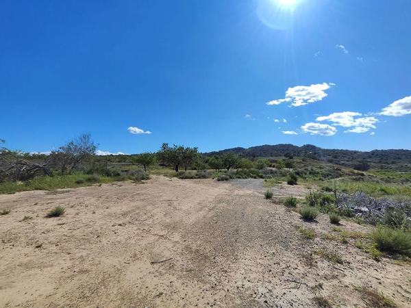 Finca rústica en orihuela