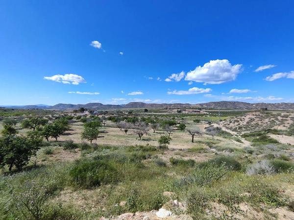Finca rústica en orihuela