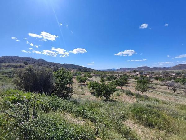 Finca rústica en orihuela