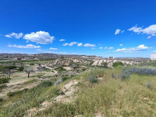 Finca rústica en orihuela