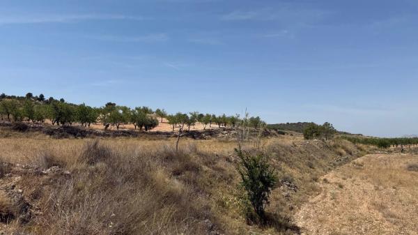 Finca rústica en Paraje Umbria