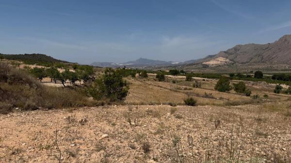 Finca rústica en Paraje Umbria